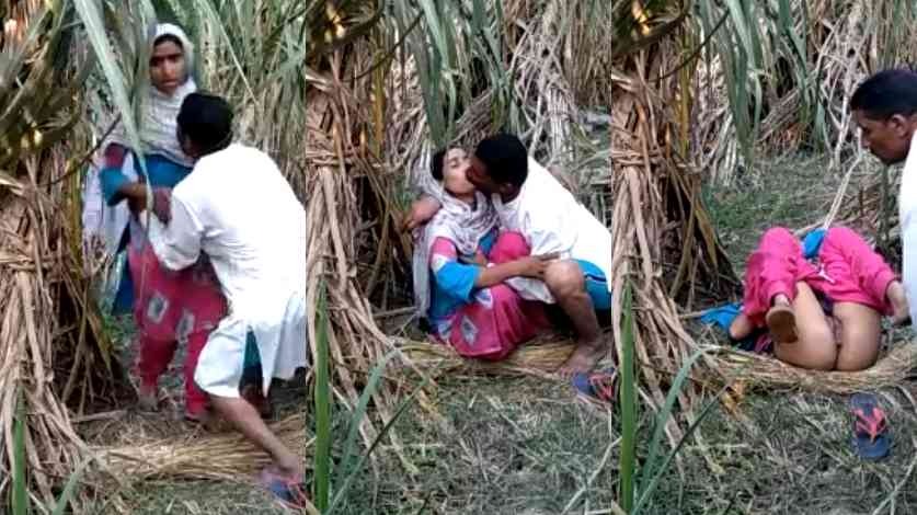 Indian Village Jungle Local Sex Viral XXX Video