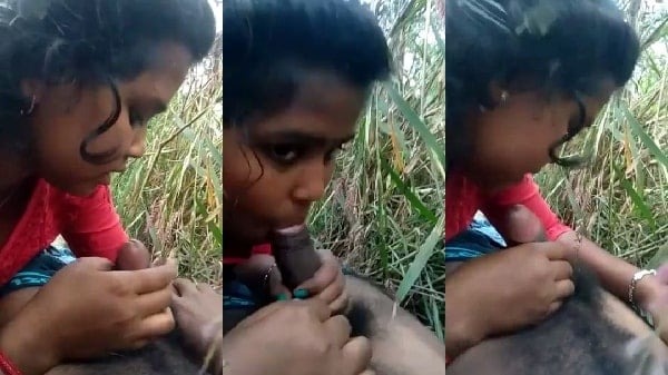 Horny Lovers Blowjob Sex MMS Video in Jungle With Bengali Audio