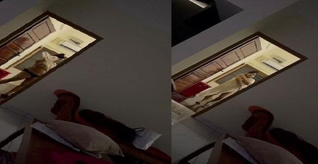 Dehati gf boob show bf sath bedroom romance karte
