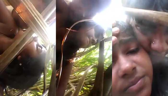 Horny Village Girlfriend Boyfriend Jungle Chudai Desi Sex