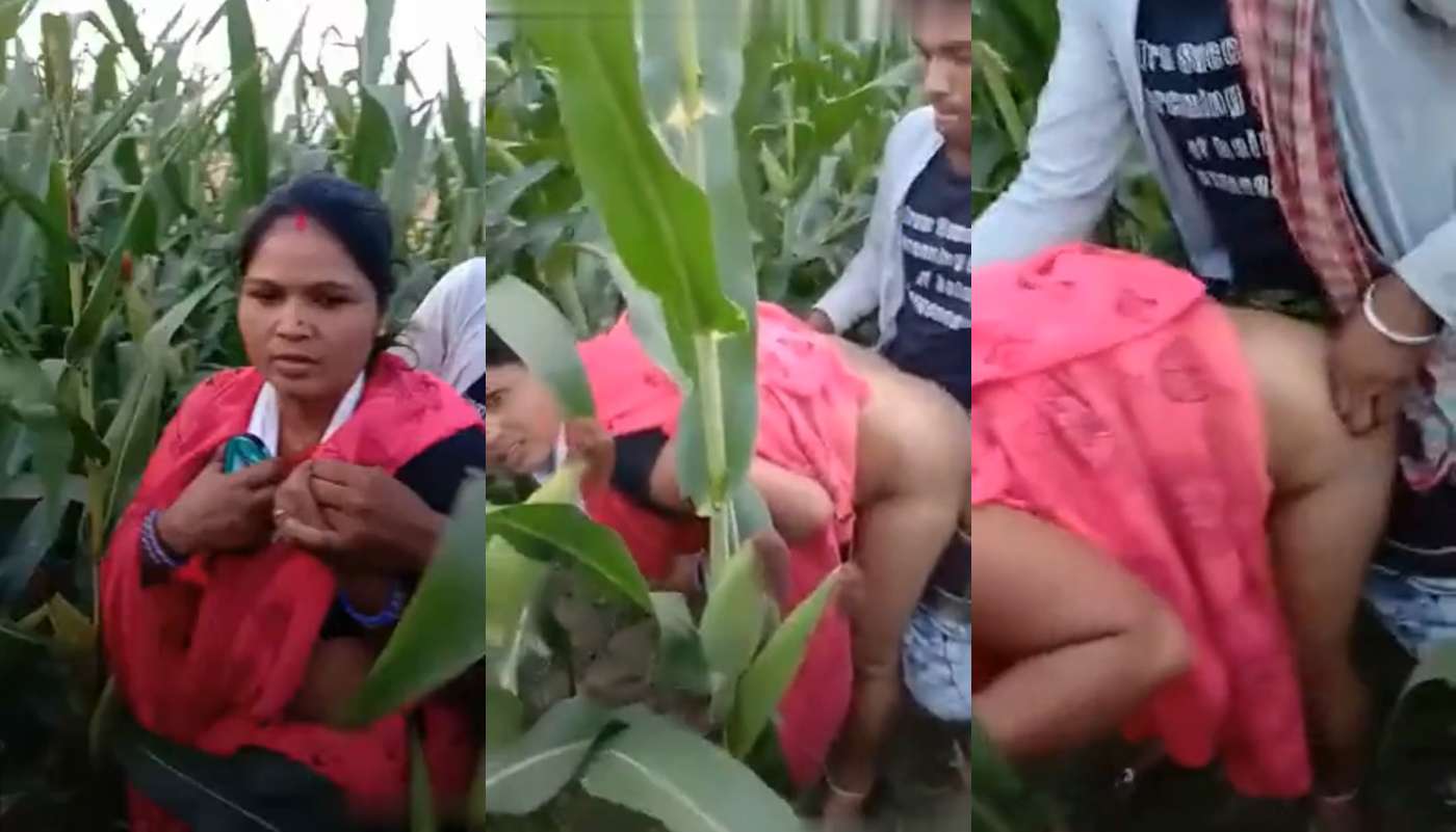 Village Boys Caught a Pink Saree Bahbhi in Jungle and Fucked Her in Jungle